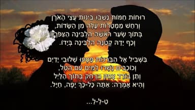 Bashvil El Habreichot - בשביל אל הבריכות