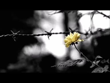 Ponar - פונאר
