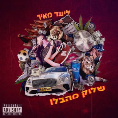 ליעד מאיר