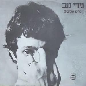 Kelim Shluvim - כלים שלובים