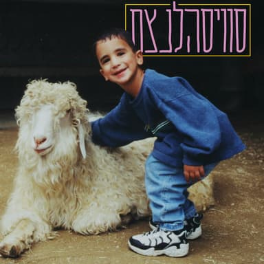 Shmok - שמוק