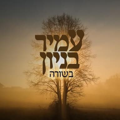 Bsora - בשורה