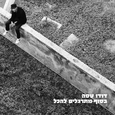Nesichat Hair -  נסיכת העיר