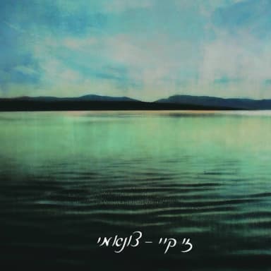Tsunami - צונאמי