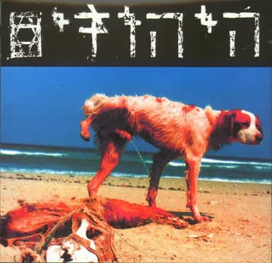 Lif’amim - לפעמים