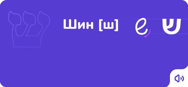 Шин — порядок написания